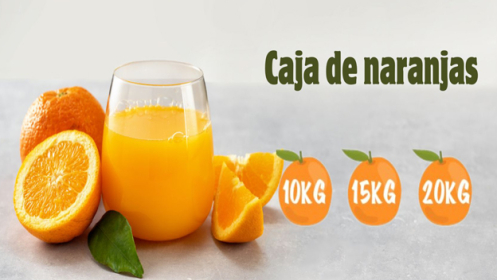 Caja de naranjas valencianas, de zumo o de mesa