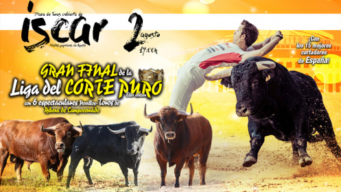 Gran final de la liga del Corte Puro en Íscar