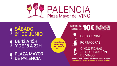 Palencia Plaza Mayor del Vino