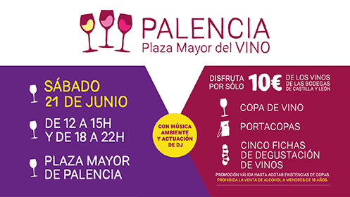 Palencia Plaza Mayor del Vino